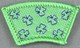 Challenge - Learning Guiding Skills (Apple Green)