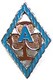 Appointment Assistant District Leader